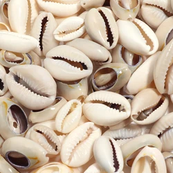 40g Multisize White Shell Beads Charm Loose Spacer Pendant Beads For DIY Handmade Earrings Necklace Jewelry Making Wholesale