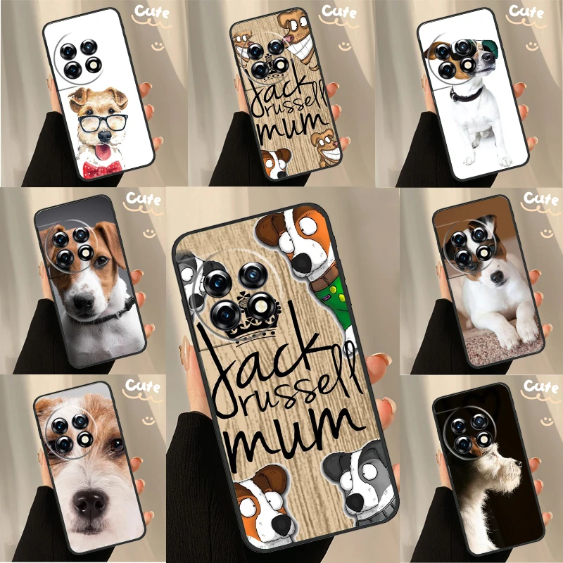 Dog Jack Russell Te… - image