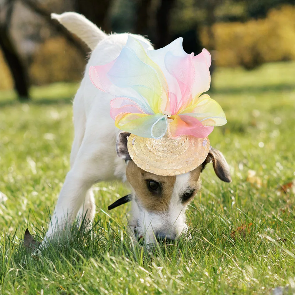 

1 Piece Summer Pet Hat Handmade Woven Straw Dog Cat Party Hat Decorative Puppy Accessory Eye-Catching Costume Headgear for Small