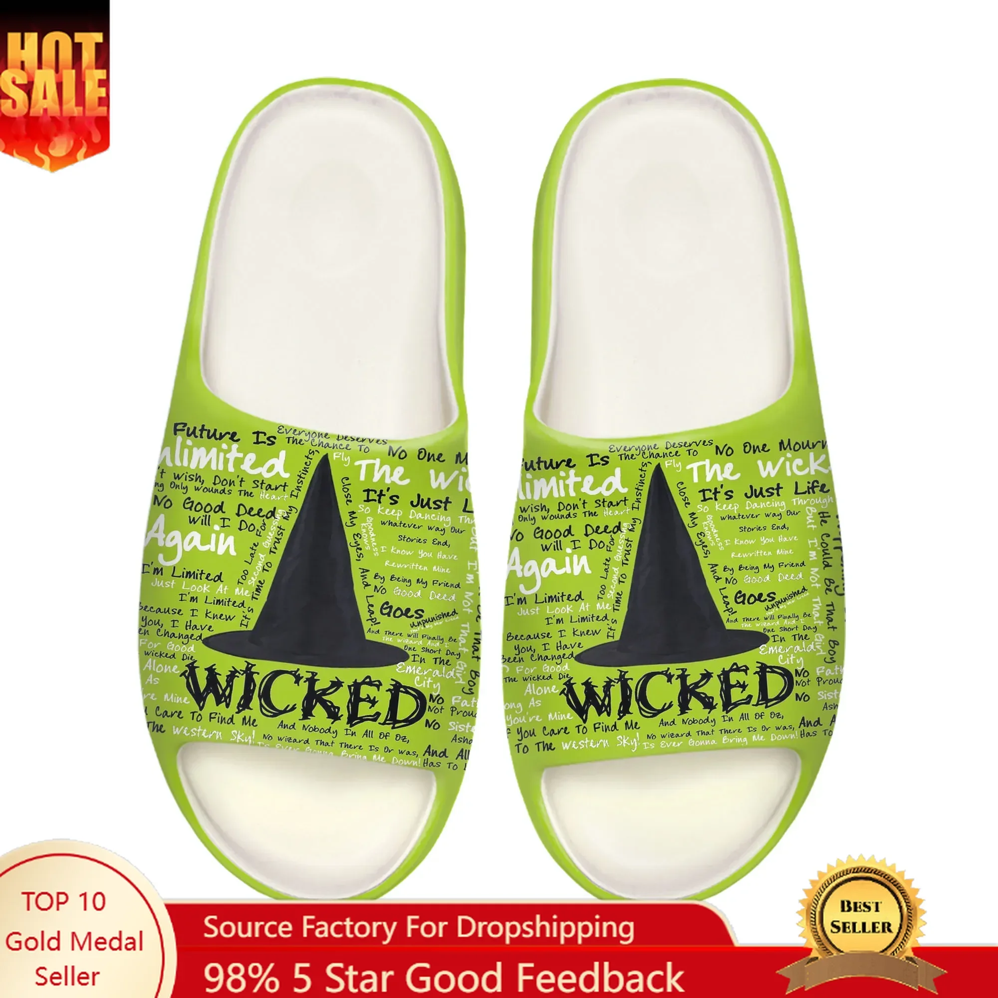 

WICKED He Musical Elphaba Wicked Witch Soft Sole Sllipers Home Clogs Step on Shoes Mens Womens Teenager Custom on Shit Sandals