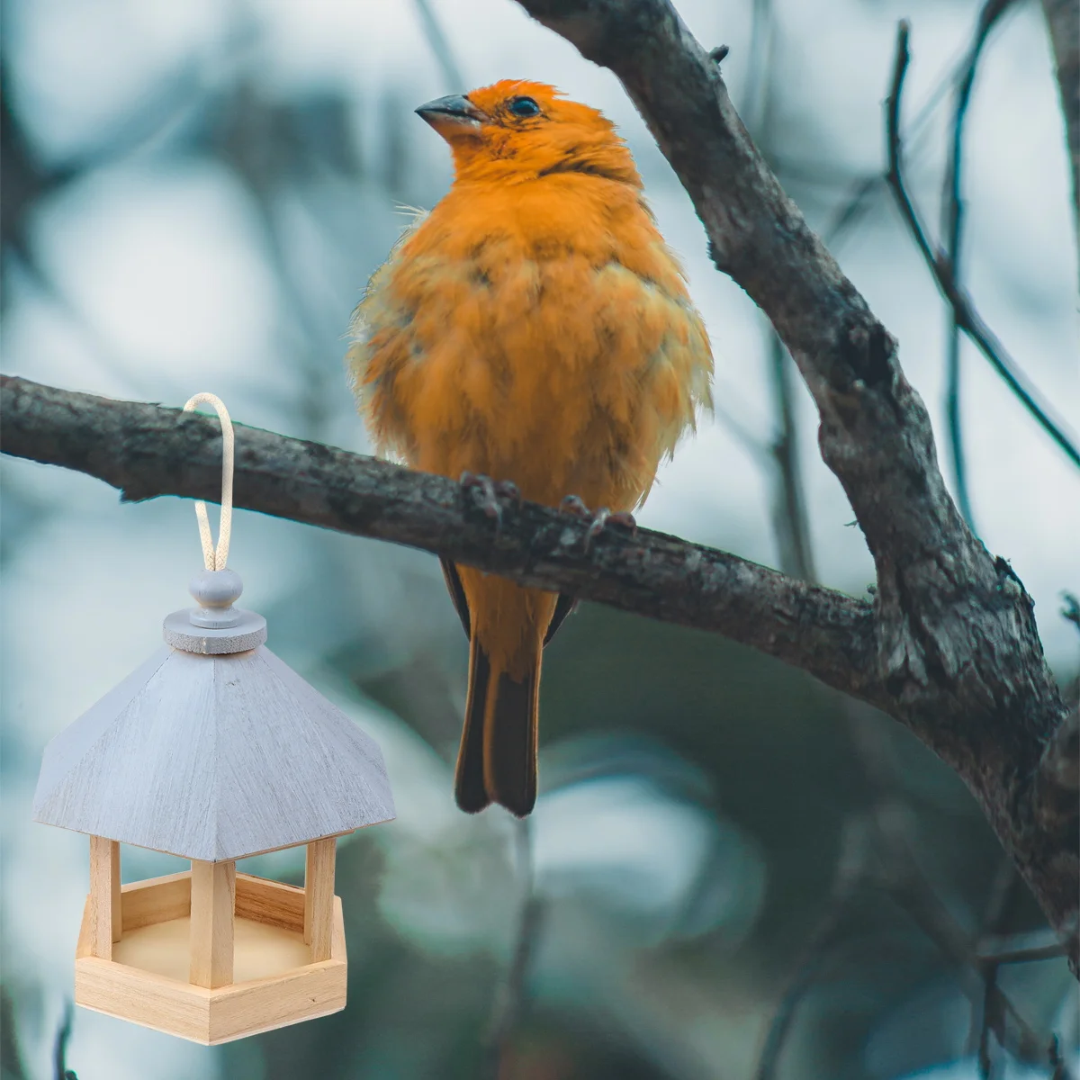 

Wooden Bird Nest Accessories Durable Sturdy Easy Cleaning Simple Structure Natural Style Garden Outdoor Pet Supplies Bird Cage