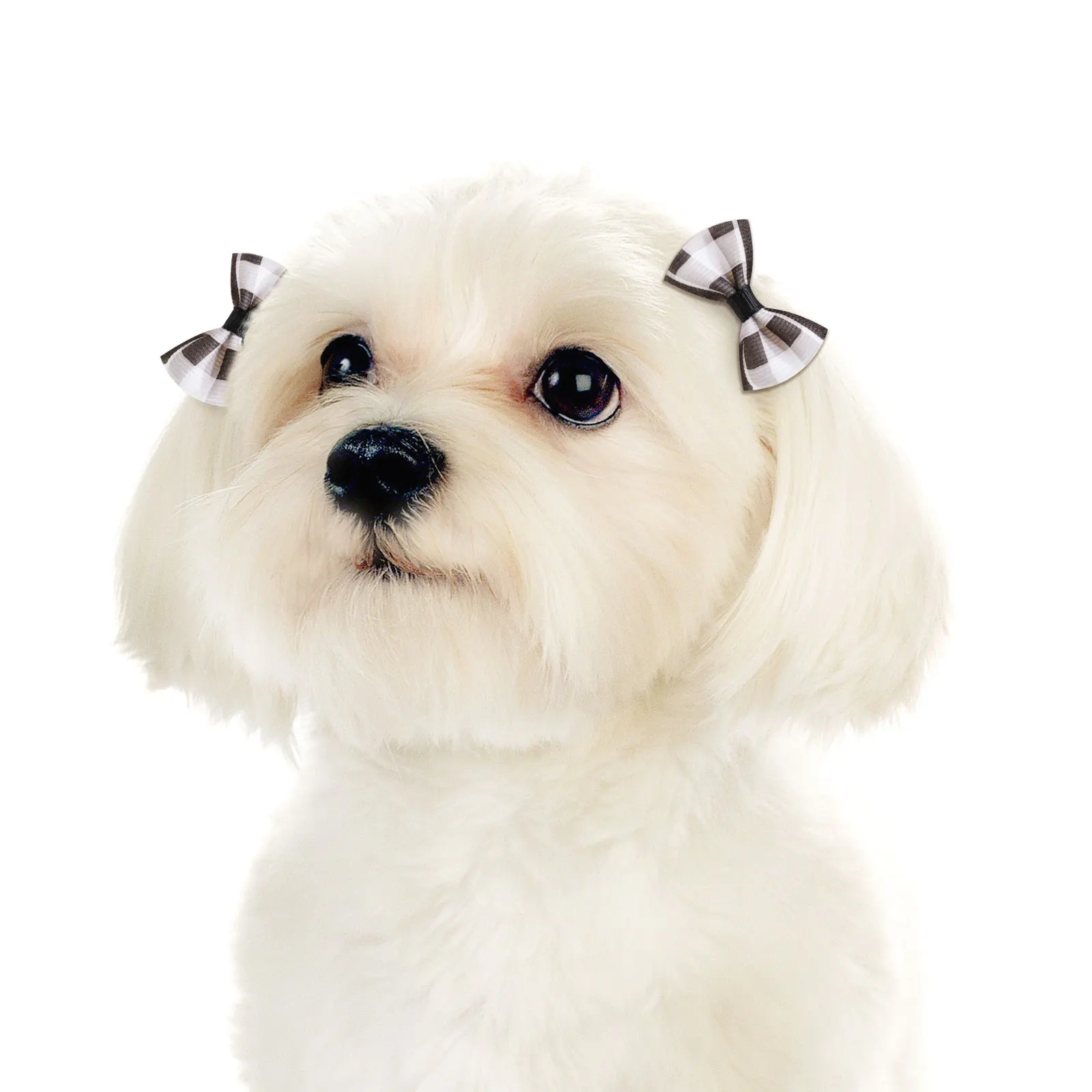 30PCS Small Dog Hair Bows Pet Bows Rubber Bands Cute Pet Puppy Hair Bows for Small Dog Hair Accessories Pet Supplies