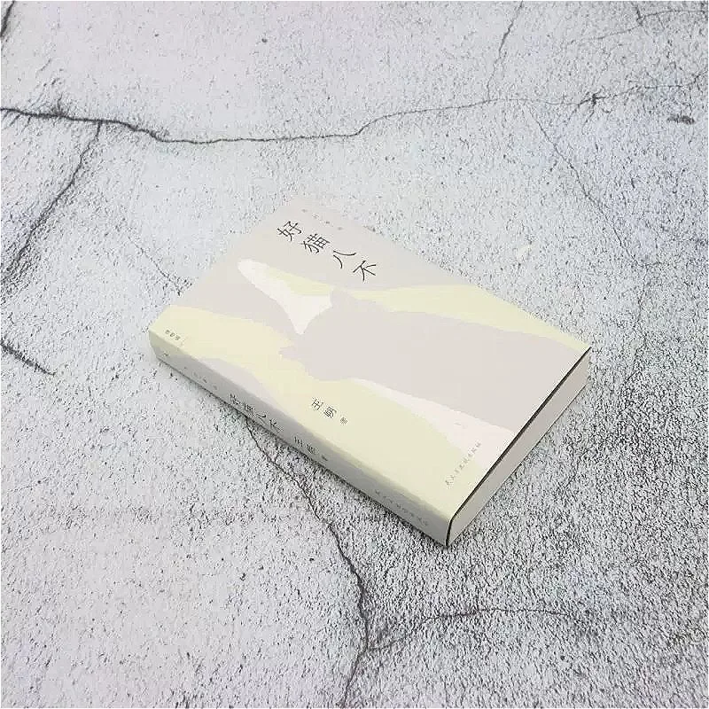 Hao Mao Ba Bu Contemporary Literature Book Contemporary Chinese Prose & Short‑Story Book By Wang‑Shuo