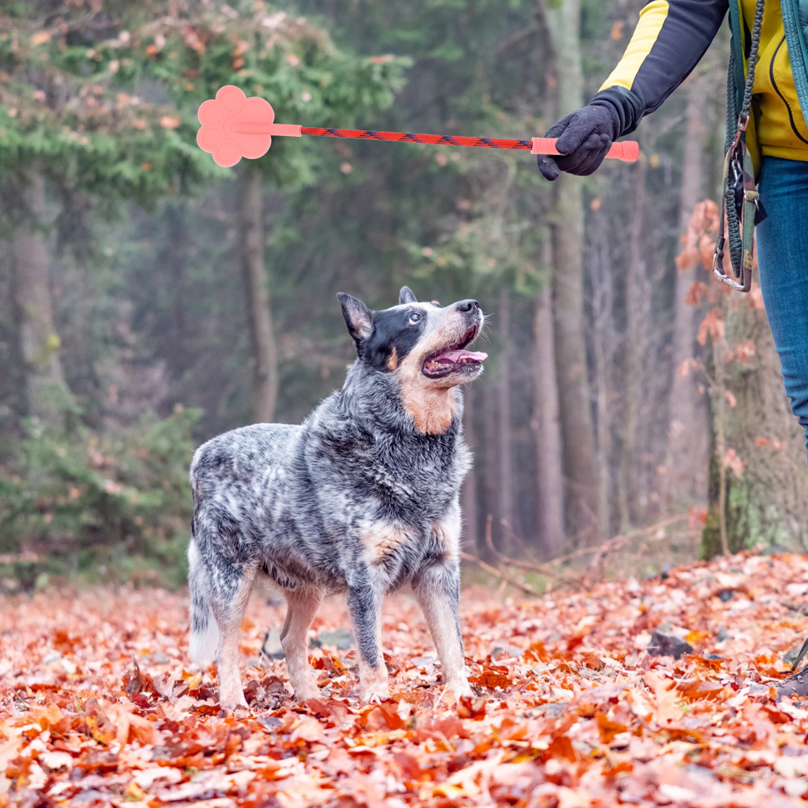 

2pcs Dog Pet Stick Medium Large Dogs Lightweight Durable Flexible Exercise Tool Improve Obedience Intelligence Endurance