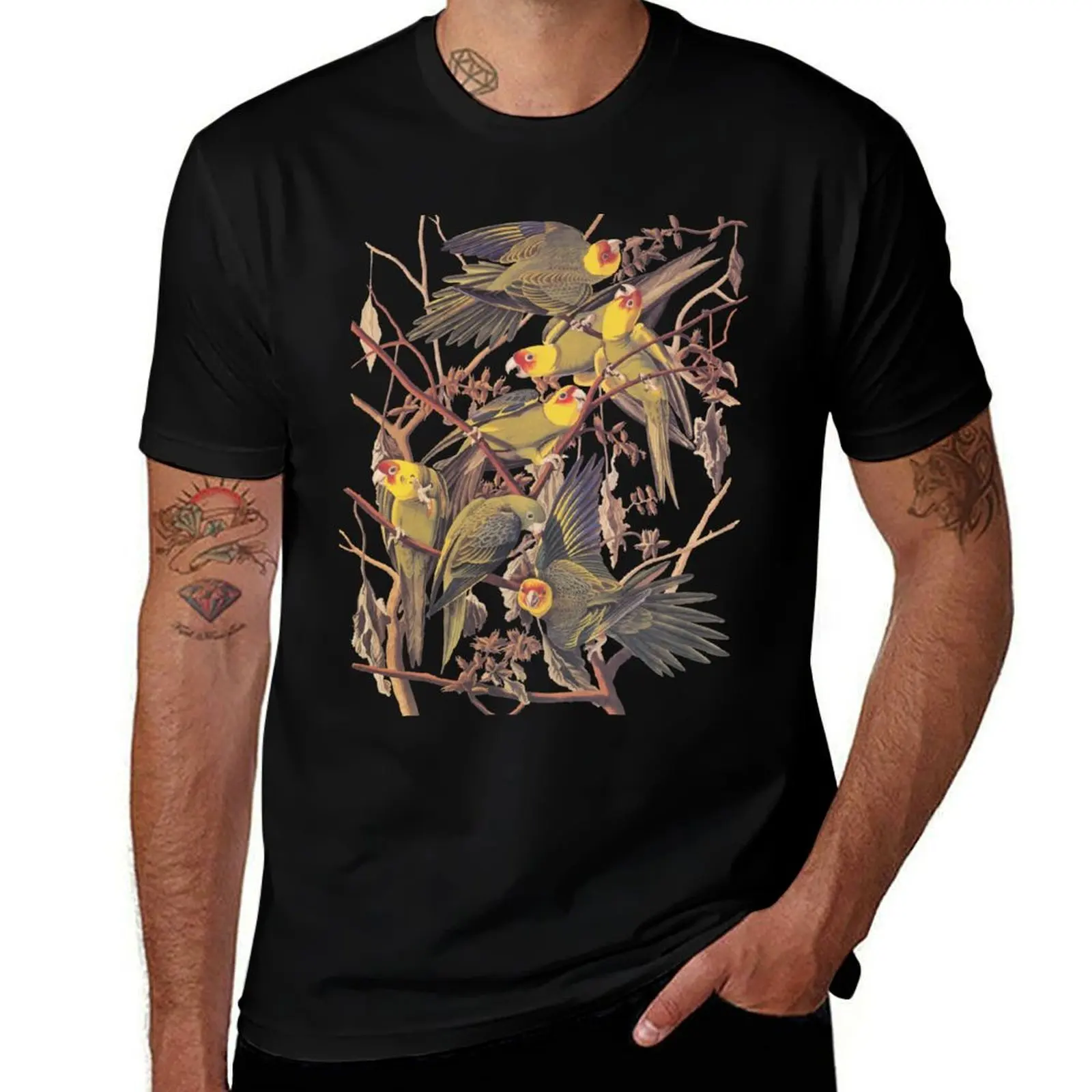 Carolina Parakeet Audubon Vintage Bookplate T-Shirt cotton t shirt pack T-Shirt