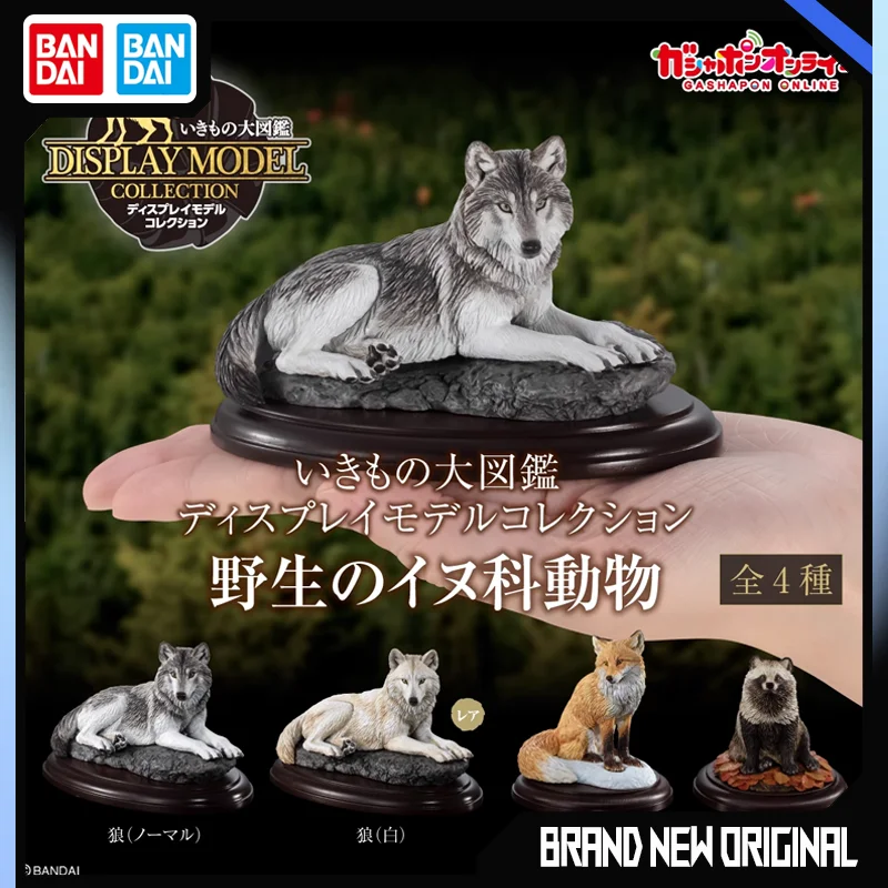 BANDAI Biological Encyclopedia Action Figures Model Canine Shaped Ornaments Wolf Red Fox GASHAPON Official Genuine Ornament