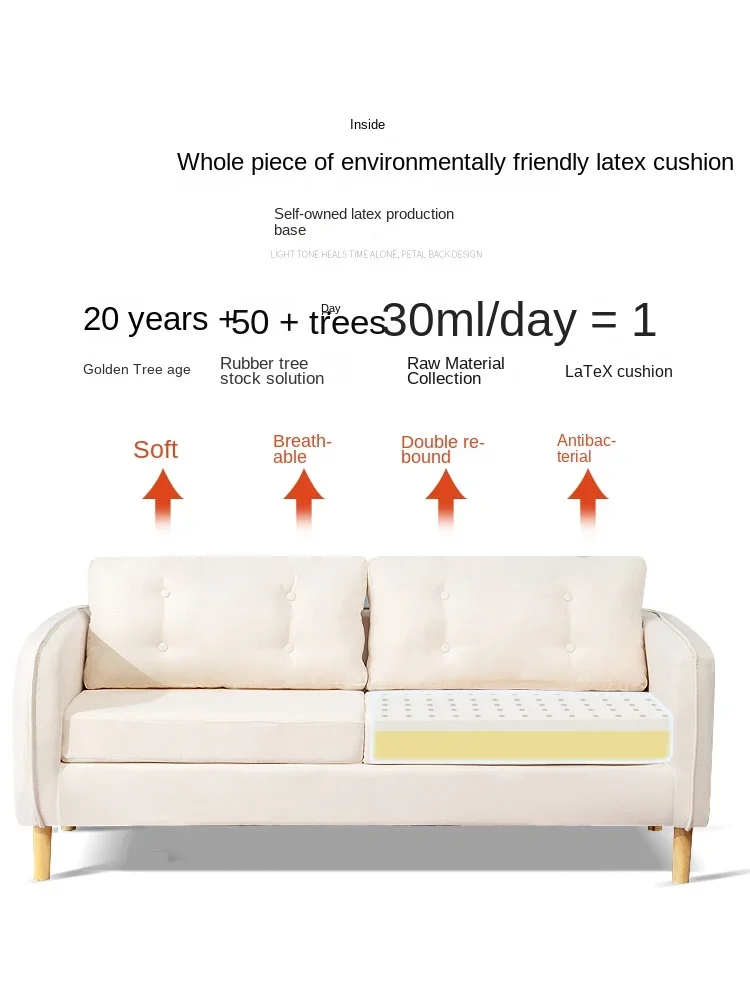 Latex Fabric Sofa Double Small Apartment Sofa Simple Sofa Economical