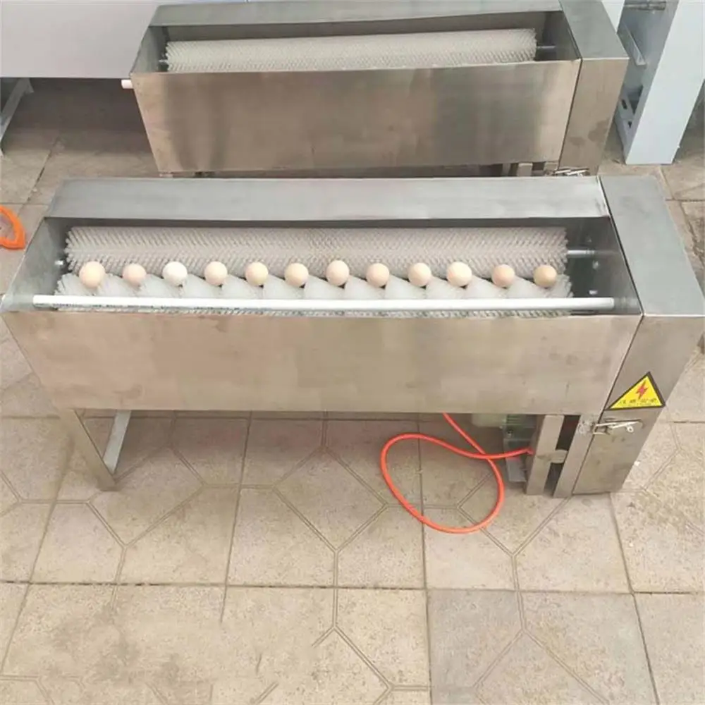 Fully Automatic Egg Cleaning Equipment Commercial Small Stainless Steel Egg Washing Machine High Efficiency