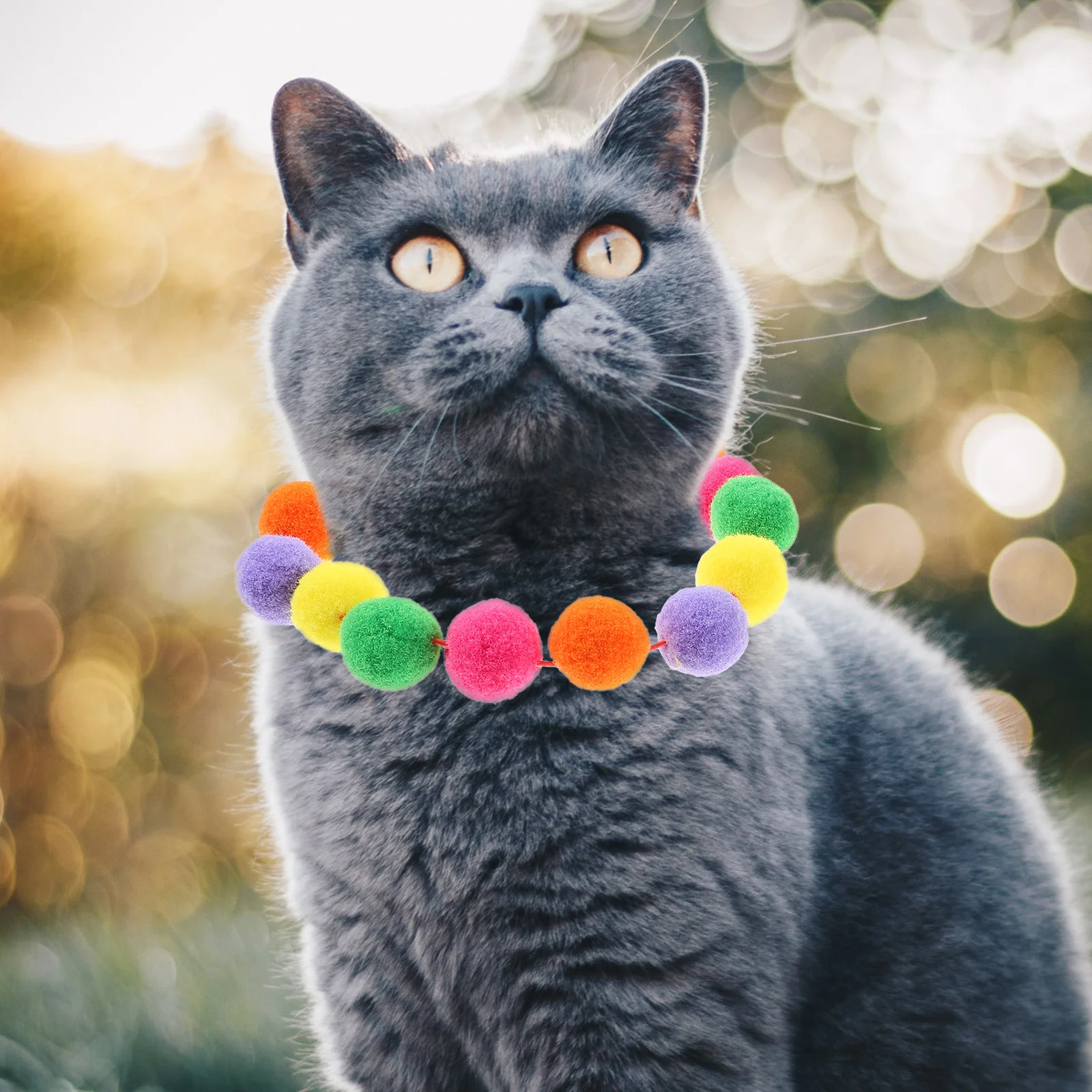 

2pcs Reusable Ball Pet Adjustable Kitten Collar For Cats Dogs Rainbow Collar Lightweight Comfortable Outdoor Party Accessory