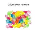 20pcs