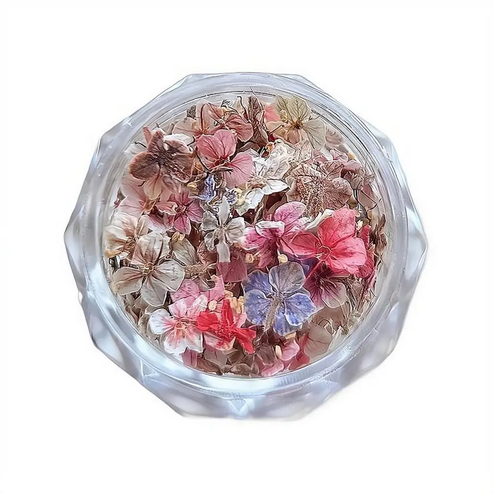 Getrocknete Blumenmaterialien für Nägel, romantische Monet-Garten-Farbpalette, lebendige Accessoires, Wildblumen-Nagelkunst-Dekorationen, Werkzeuge – Detail 3