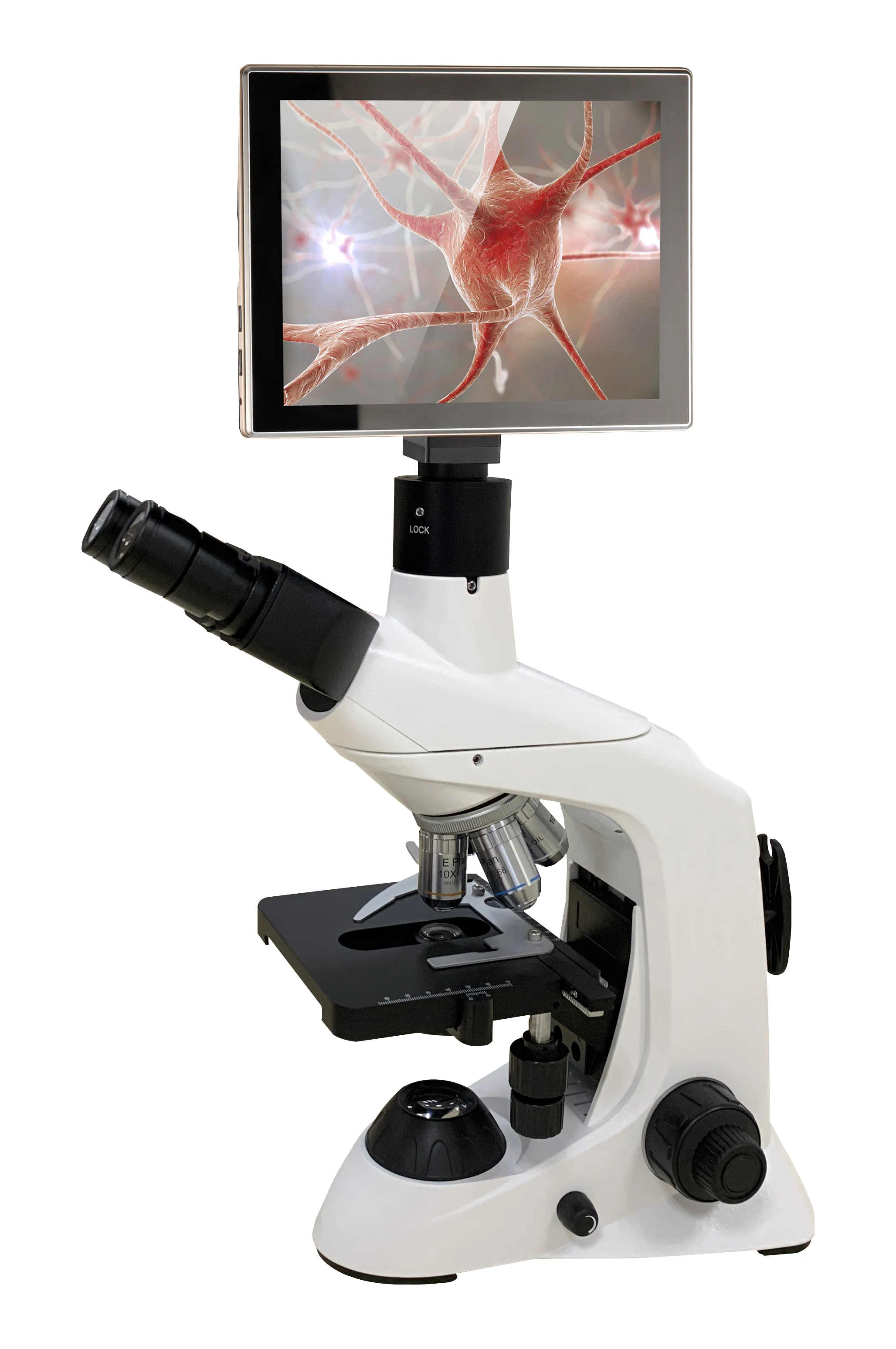 TX-BM Series Aeolus Biological Microscope For Hospital Clinical Examination With Optional Cameras Installation