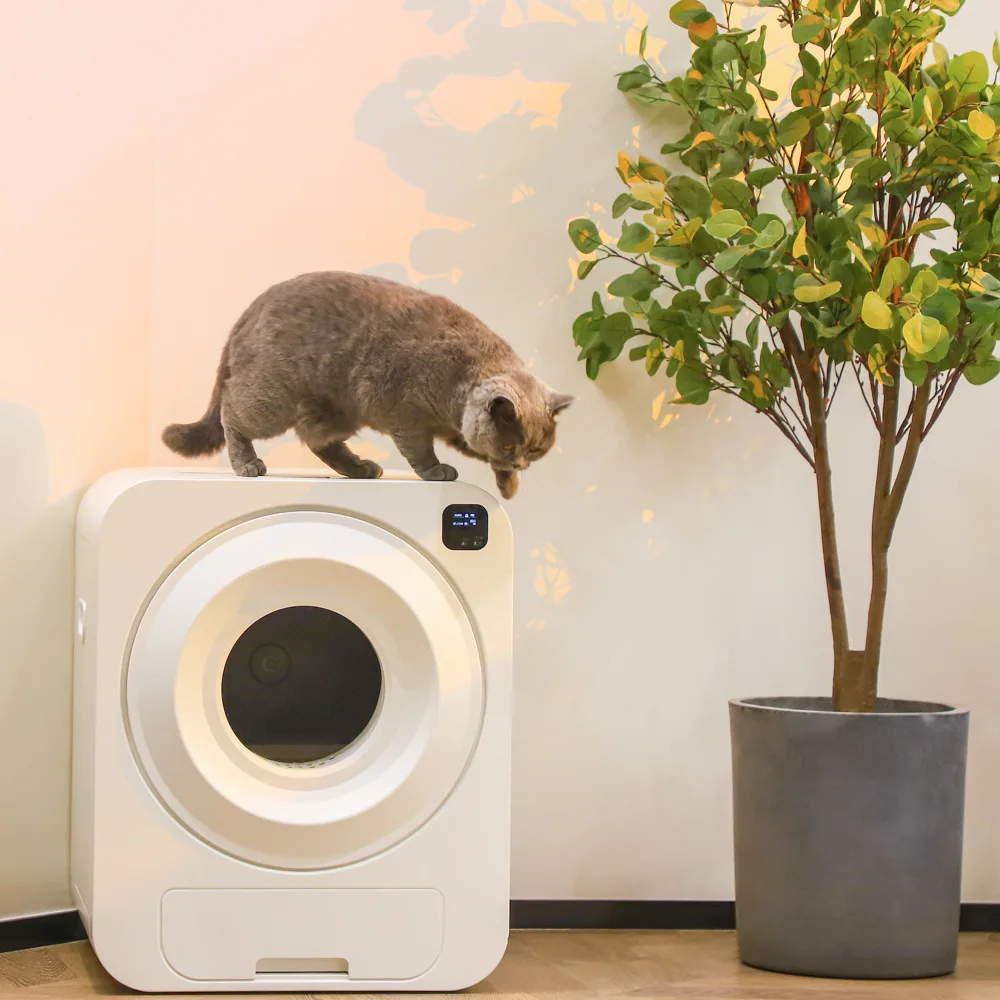 2024 New Plastic Automatic Cat Toilet High Quality Fast Cleaning Customizable Intelligence Kitty Litter Box