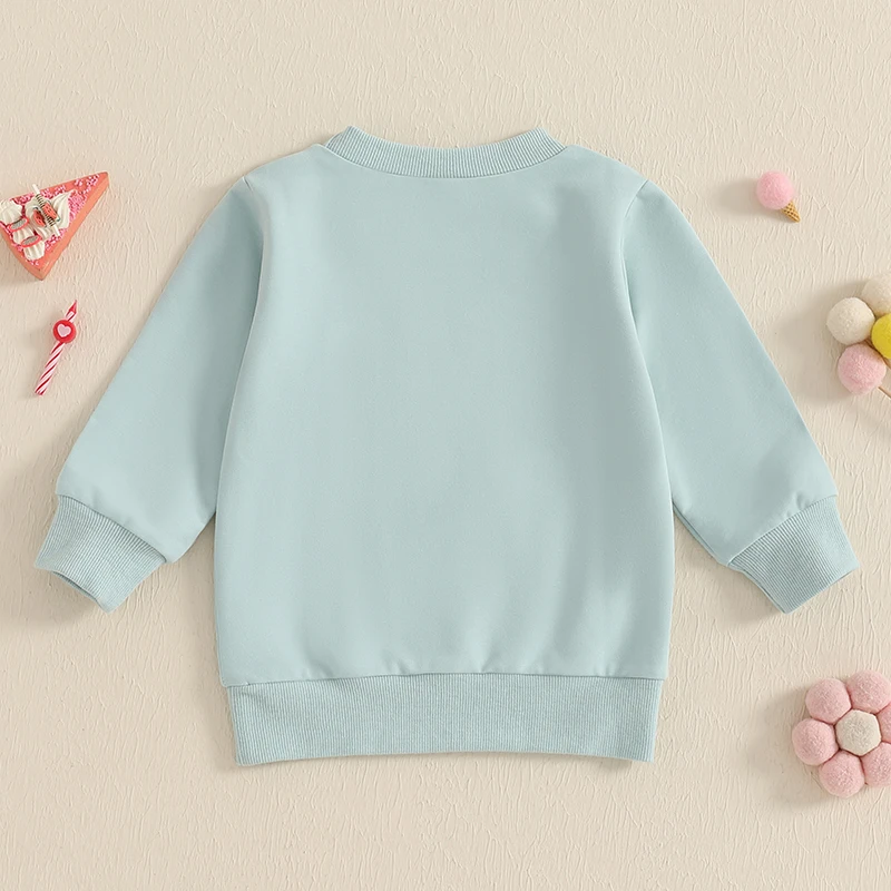 Toddler Gilrs Fall Sweatshirts Fashion Letter Embroidery Long Sleeve Crew Neck Baby Girls Tops for Birthday Daily Life