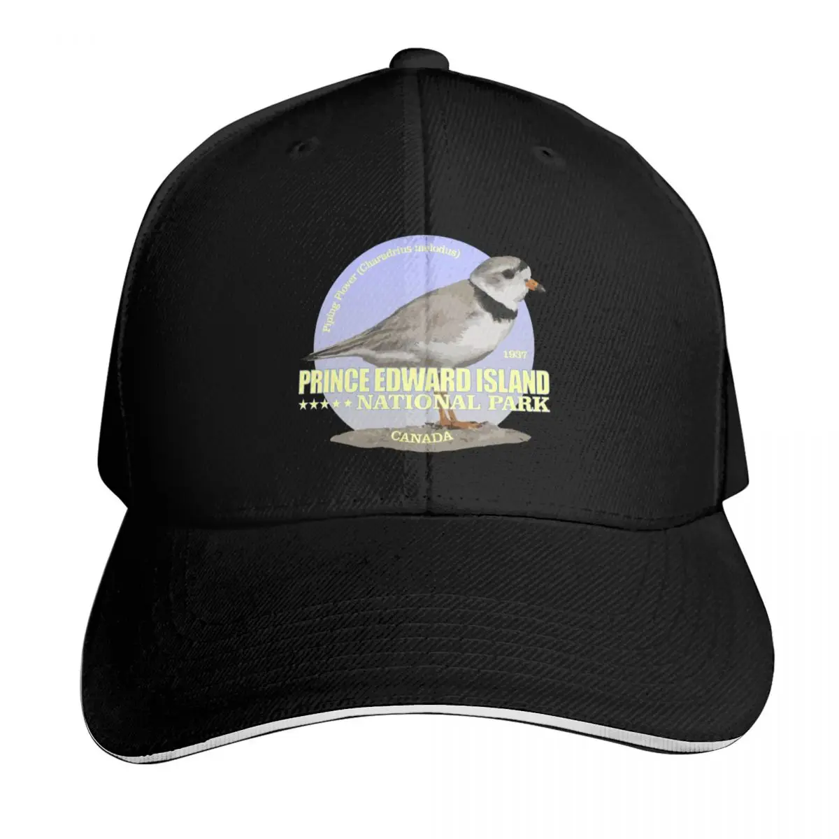 Prince Edward Island National Park (Piping Plover)(WT) Baseball Cap Men Women Casual Summer Sport Sun Cap