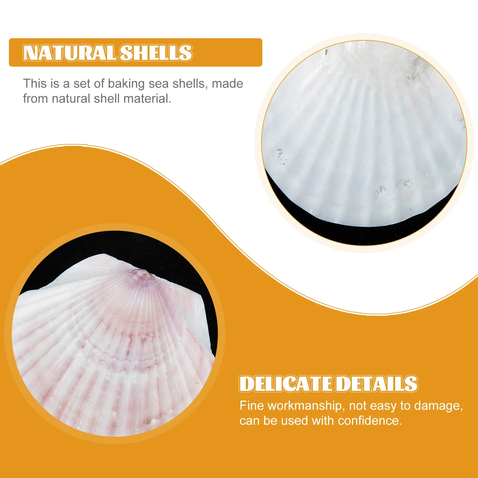 

10Pcs Scallop Plates for Food Natural Shells DIY Painting Handicrafts Gifts Shells for Crafts DIY Seashells Mom Birthday Gifts