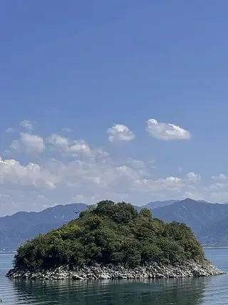 

Radiolink AT9S Pro 12 Channels 2.4G RC Transmitter Radio Controller Support Crossfire Protocol with RX R9DS for Fixed Wing