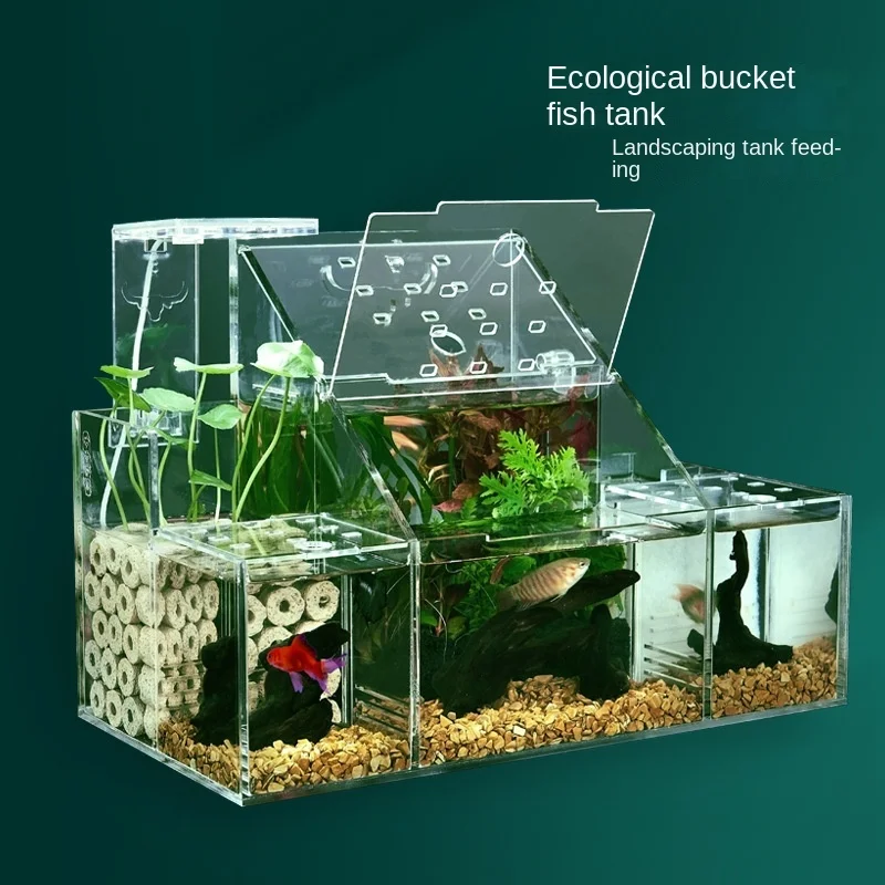 Ecological fish tank Special isolation box for breeding and hatching of malachite Circulating water filtration Creative table