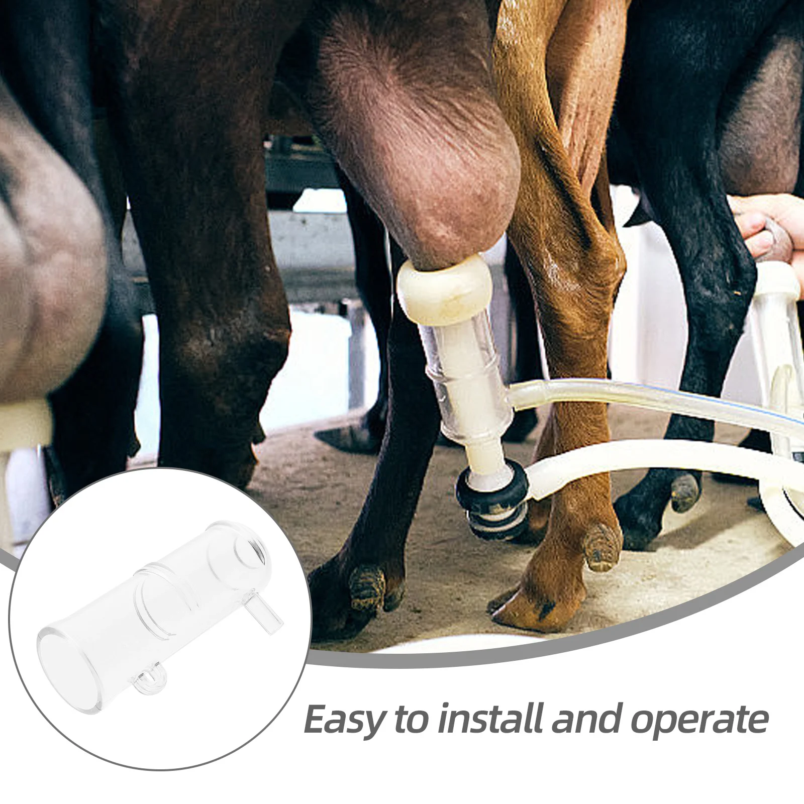 

Cups For Cow Cup Cow Replacement Liner Cup Sheep Replacement Sheep Machine Supply Milking Tool Milking Liner Cups