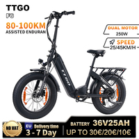 Electric Bike TTGO F6 250W Motor 36V25Ah Lithium Battery 20 \