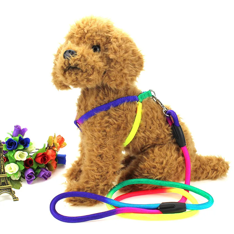 Cute Rainbow Small And Medium Dog Harness 3 Sizes Nylon Leash For Pet Dogs Cats Chihuahua/Teddy/Pit bull Walking Leash Rope