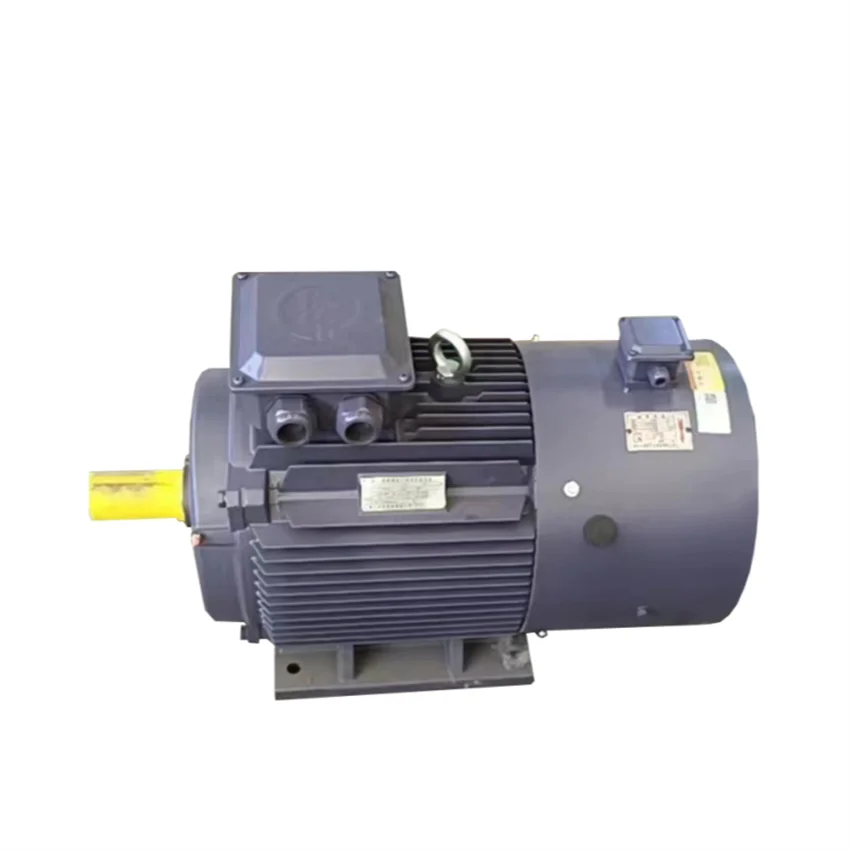 220V/380V/440V/480V High Stability Adjustable-Speed Synchronous Motor 220V