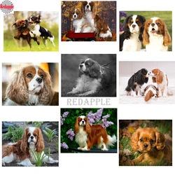 Diamond painting cross stitch Cavalier King Charles Spaniel full square 5d diy diamond embroidery cute pet diamond mosaic dog
