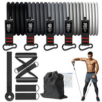 11 Pcs/Set Fitness TPE Resistance Bands Set Fitness Rubber Bands Training Exercise Yoga Pull Rope Gym Equipment Elastic Bands