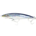 sardine