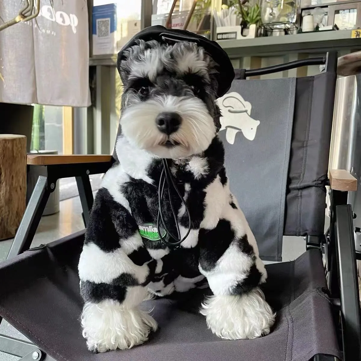 Fashion Dog Winter Clothes Warm Fleece Dog Coat Trendy Fur Dog Cat Coat Black White Boy Girl Yorkies Chihuahua Cats Costume