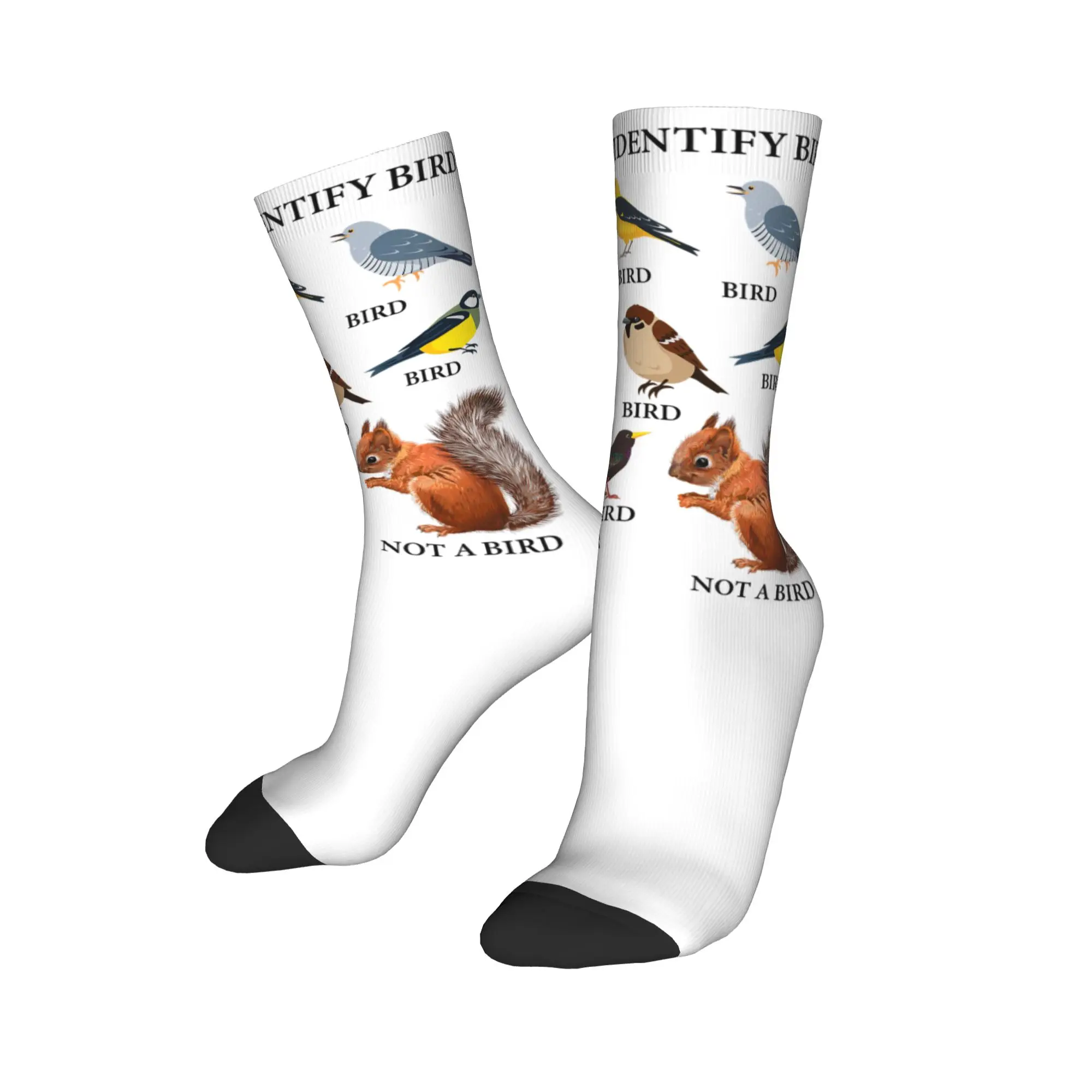 How to Identify Birds Birding Bird Watcher Socks Men's Women's Polyester Fashion  Socks Harajuku Middle Tube Socks Gifts