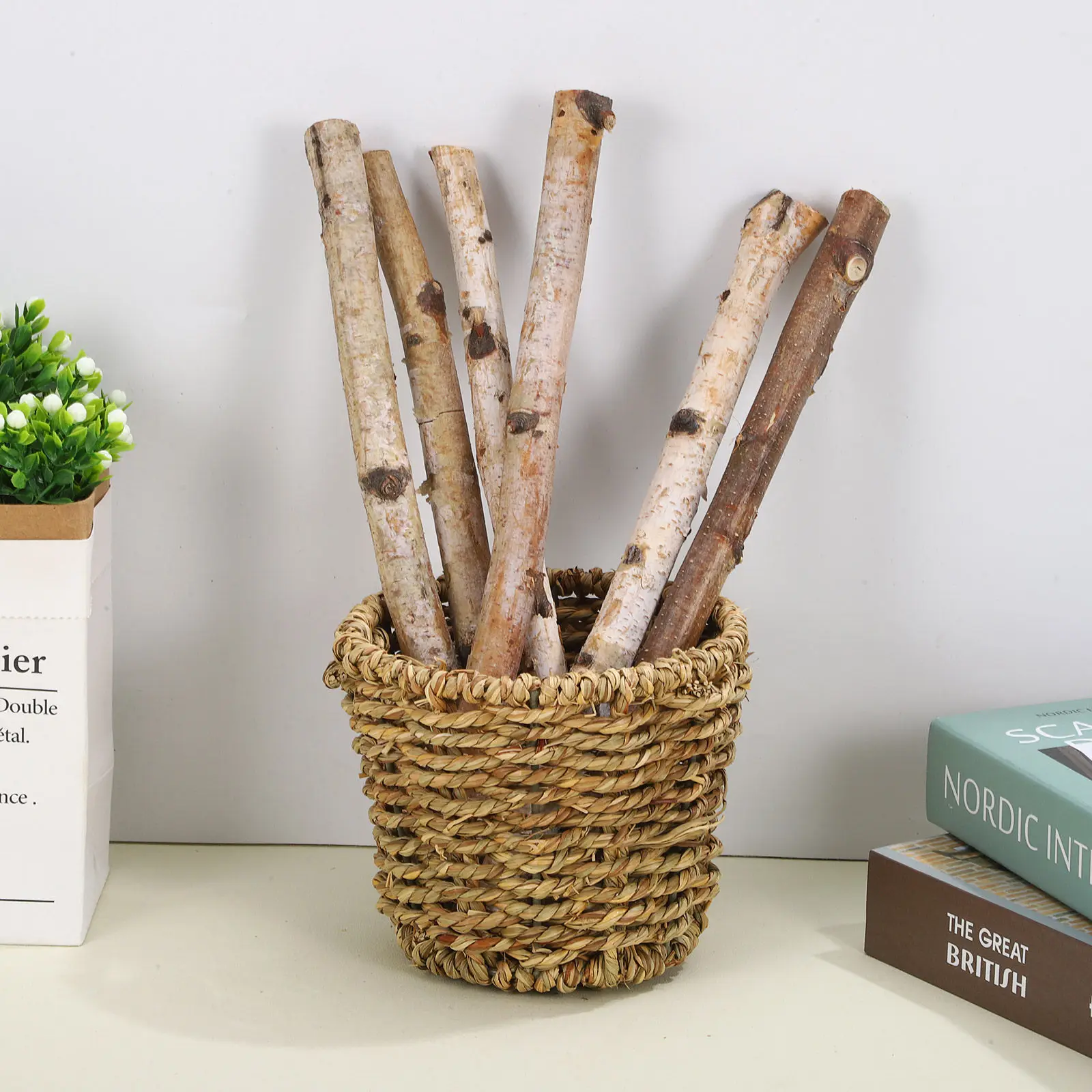 

6Pcs Birch Wood Sticks Natural Light Brown Dry Slender Branches for DIY Crafting Wood Craft Sticks Decoration Floral Projects
