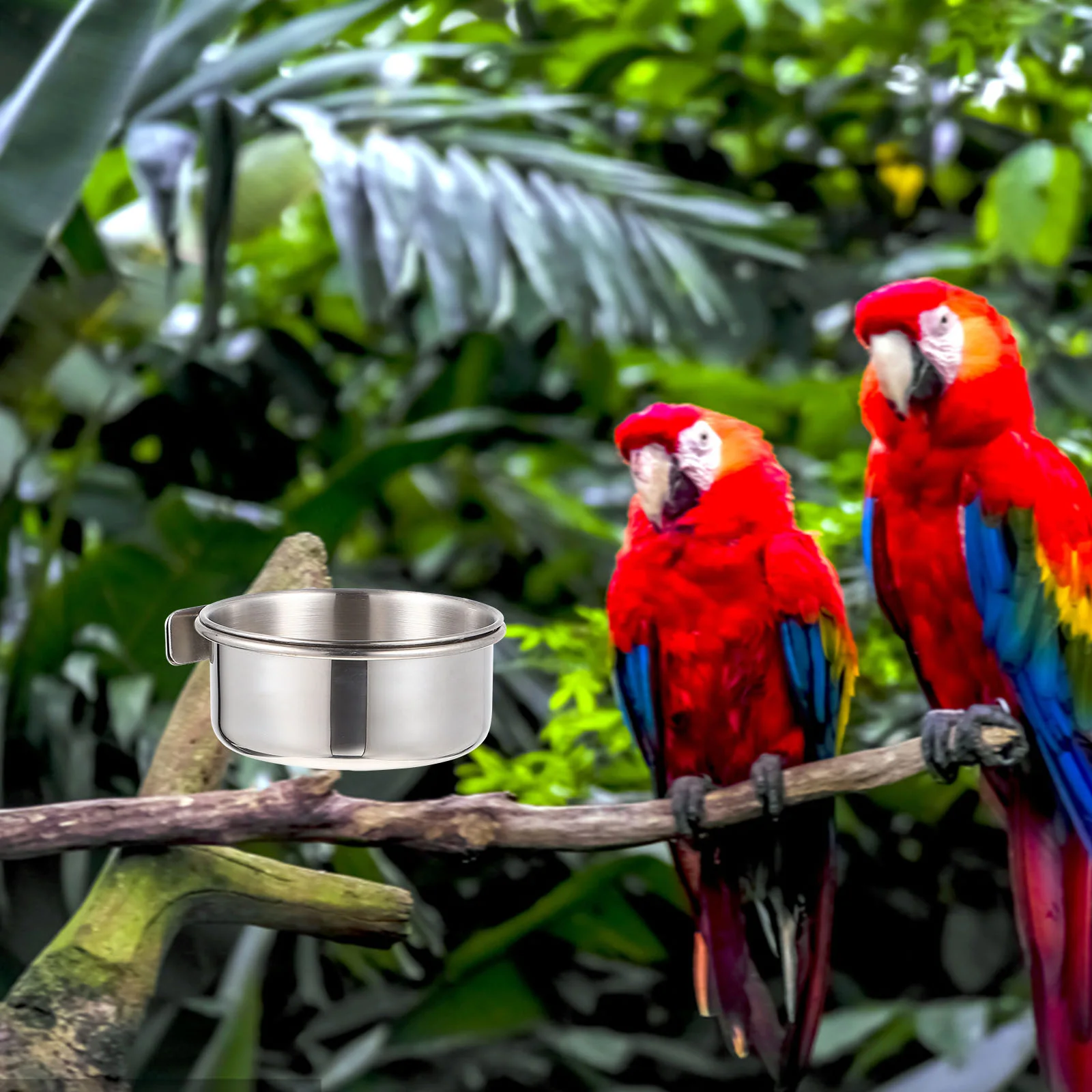 2 juegos de jaula para loros, plato de comida, cuenco, juguetes para conejos, taza de alimentación para pájaros, contenedor de viaje plateado