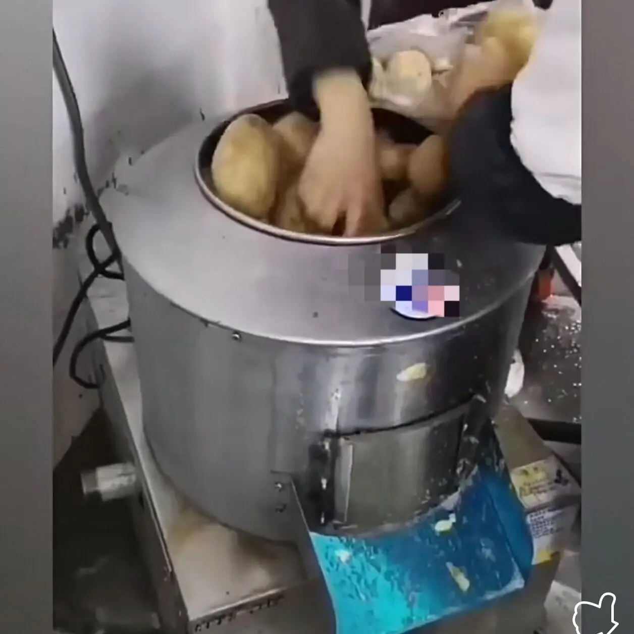 Potato Peeling Machine Commercial Peeler 220v Potato Cleaning Machine