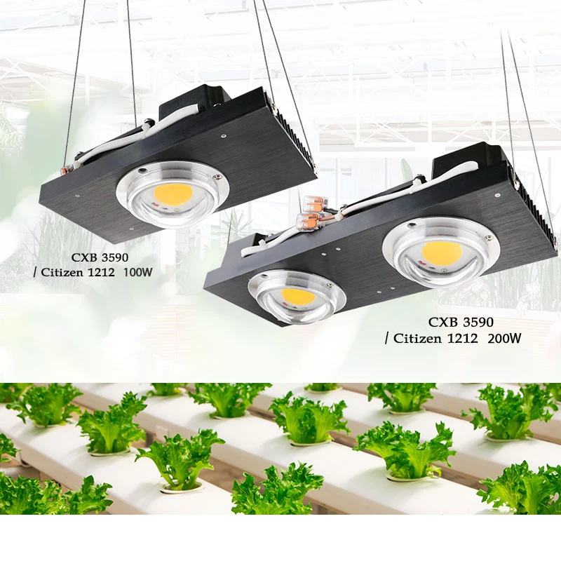 Luz LED COB CXB3590 de espectro completo, lámpara de cultivo para tienda de interior, invernadero, planta hidropónica, 100W, 1212