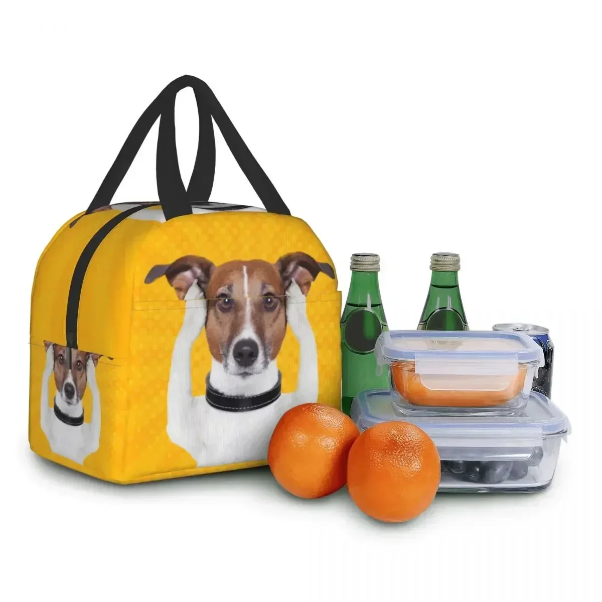 Jack russell terrier cão engraçado meme lancheira portátil para mulheres refrigerador térmico comida isolada almoço saco escola crianças estudante