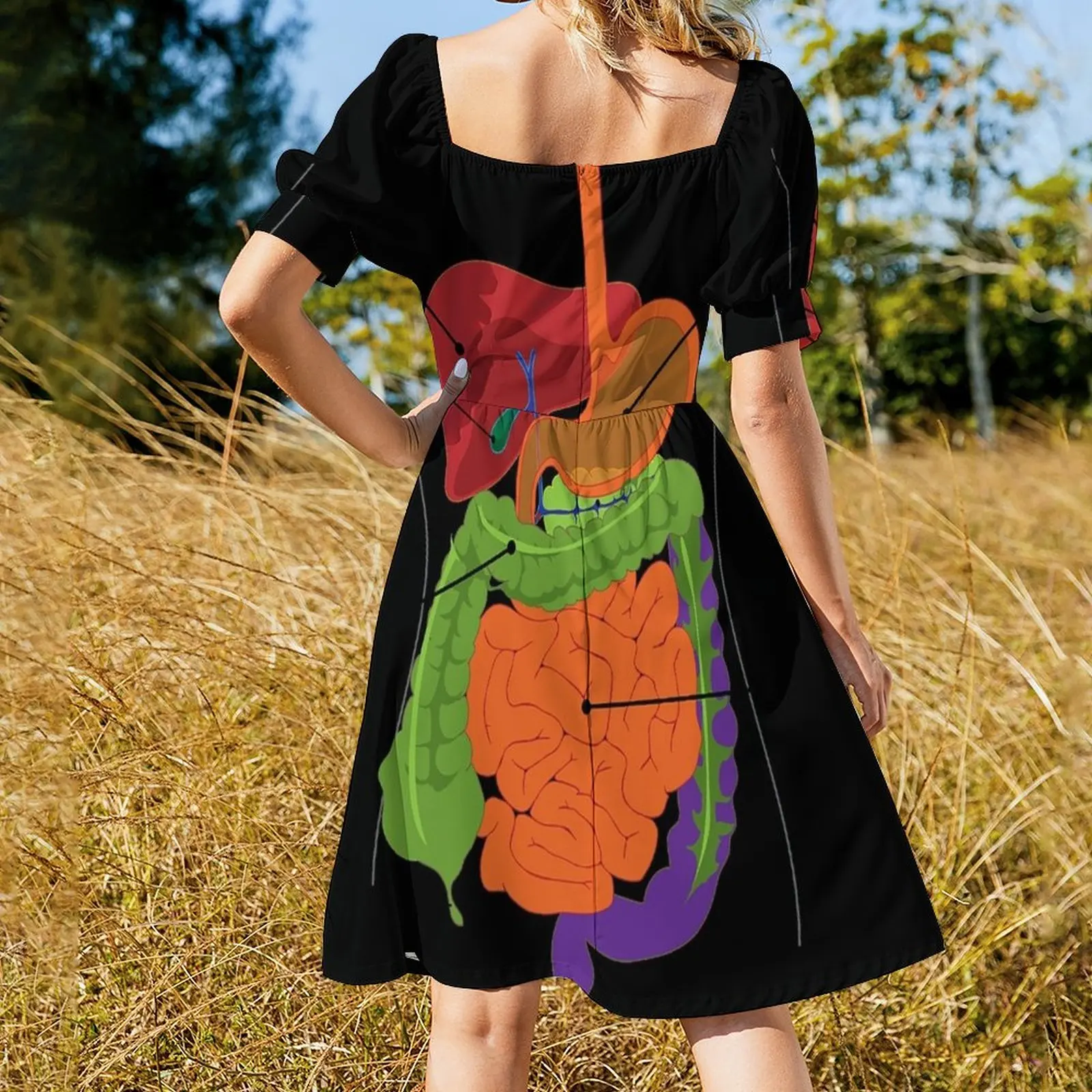 Anatomie T-Shirt-Innen Körper Verdauung Kleid elegante Kleider für Frauen Kleider für Frauen 2023