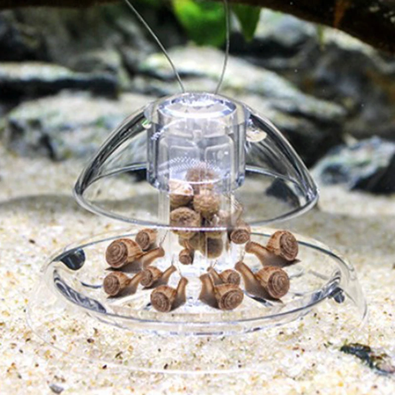 Atrapamoscas de caracol para acuario, trampa para plantas, Caja de captura de plagas para pecera, dispositivo de eliminación de caracol