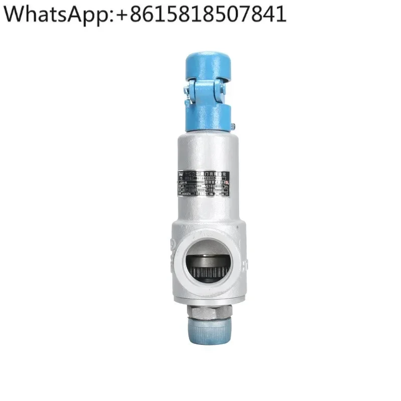 A28H/Y-16C cast steel spring fully opened external thread safety valve DN15 20 25 32 40 50 65