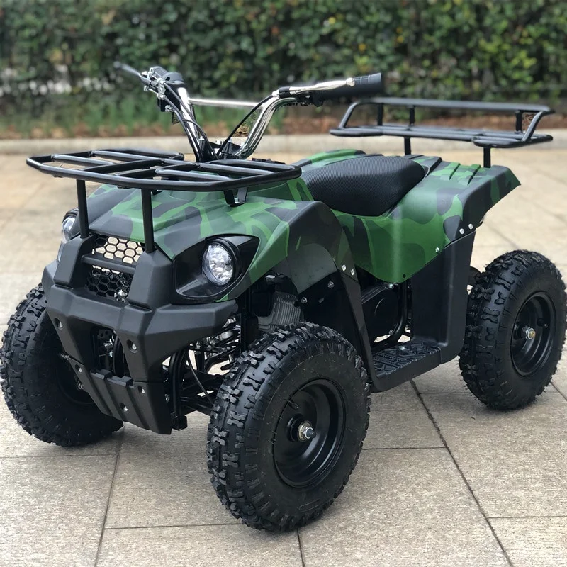 49cc Automatic Chain Drive 2-Stroke 2WD Mini Kids Quad Bike ATV with CE Certification