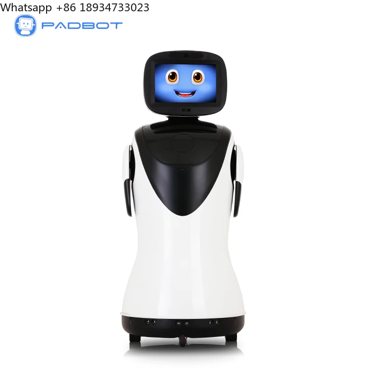 Customized Q&A Intelligent Greeting Server Cameriere Transformer Restaurant Robot Dancing Music Commercial Reception Robots