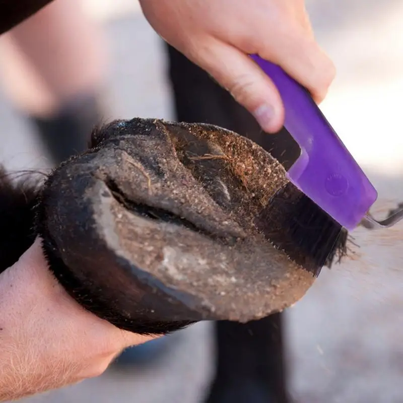 Horse Grooming Brush 2 In 1 Hoof Pick For Horse Cleaning Horse Grooming Supplies With Ergonomic Handle For Adults And Kids