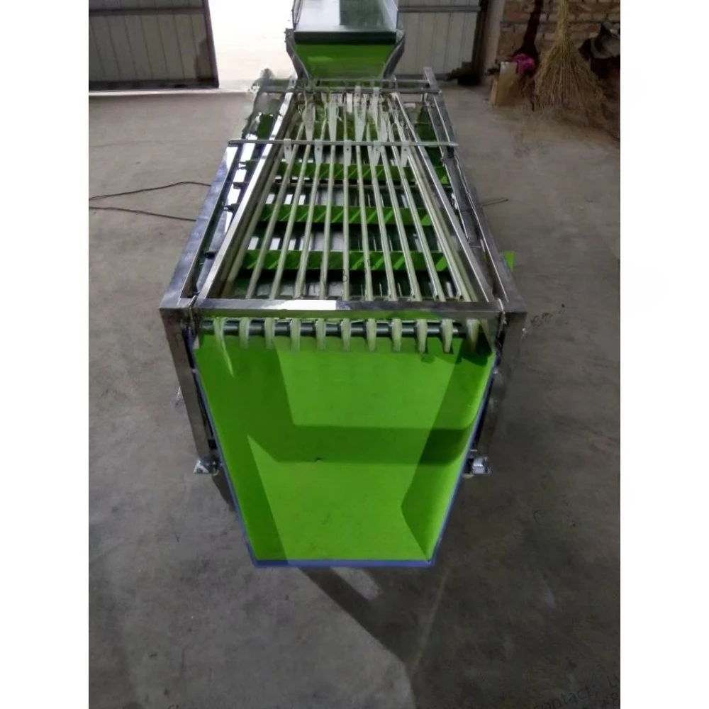 Hot Sell Blueberry Grading Sorting Machine Berries Fruit Grader Sorter Machine  Walnut Garlic Sorter Sorting Machine