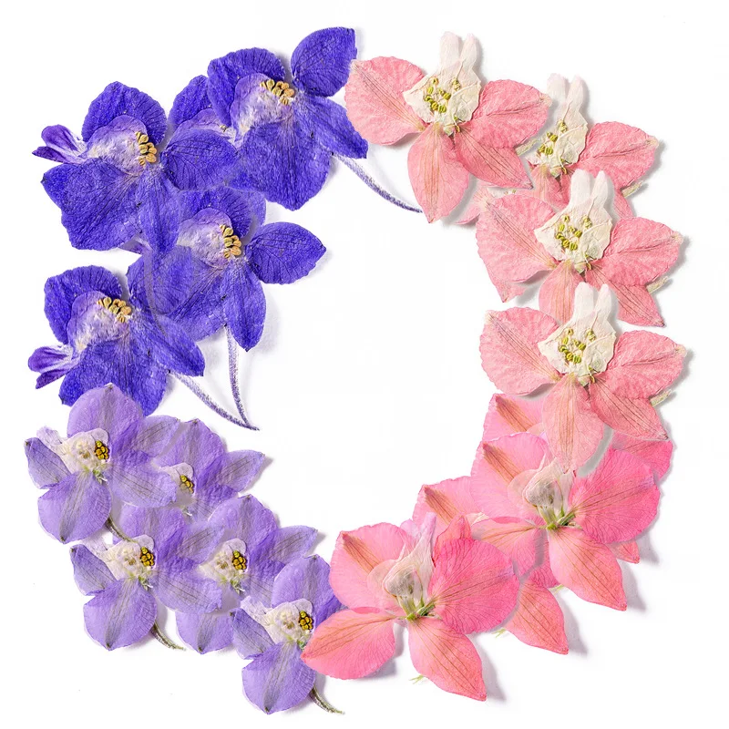 120pcs Pressed Dried Delphinium grandiflorum L Flower For Epoxy Resin Pendant Jewelry Face Make Up Making Craft DIY Accessories