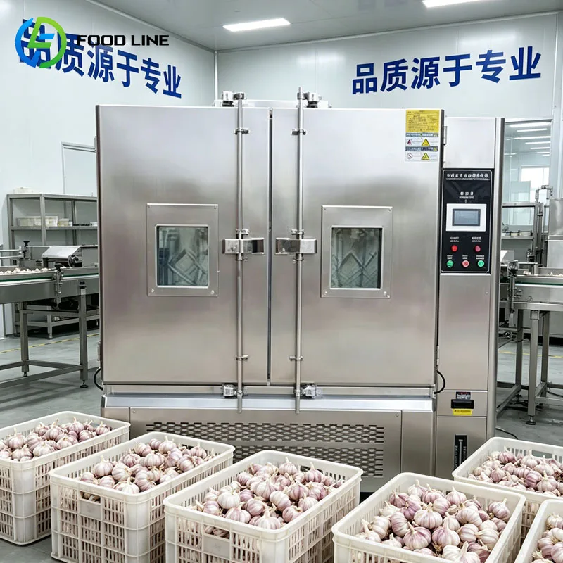 Black Garlic Fermentation Machine Industrial Fermentation System Smart Control Aging Machine Food Processing Customized