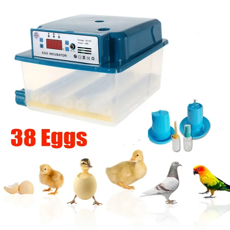 110V 220V 38 Eggs Fully Automatic Incubator Brooder Chicken Incubator Farm Bird Quail Goose Duck Eggs Incubator Poultry Hatcher