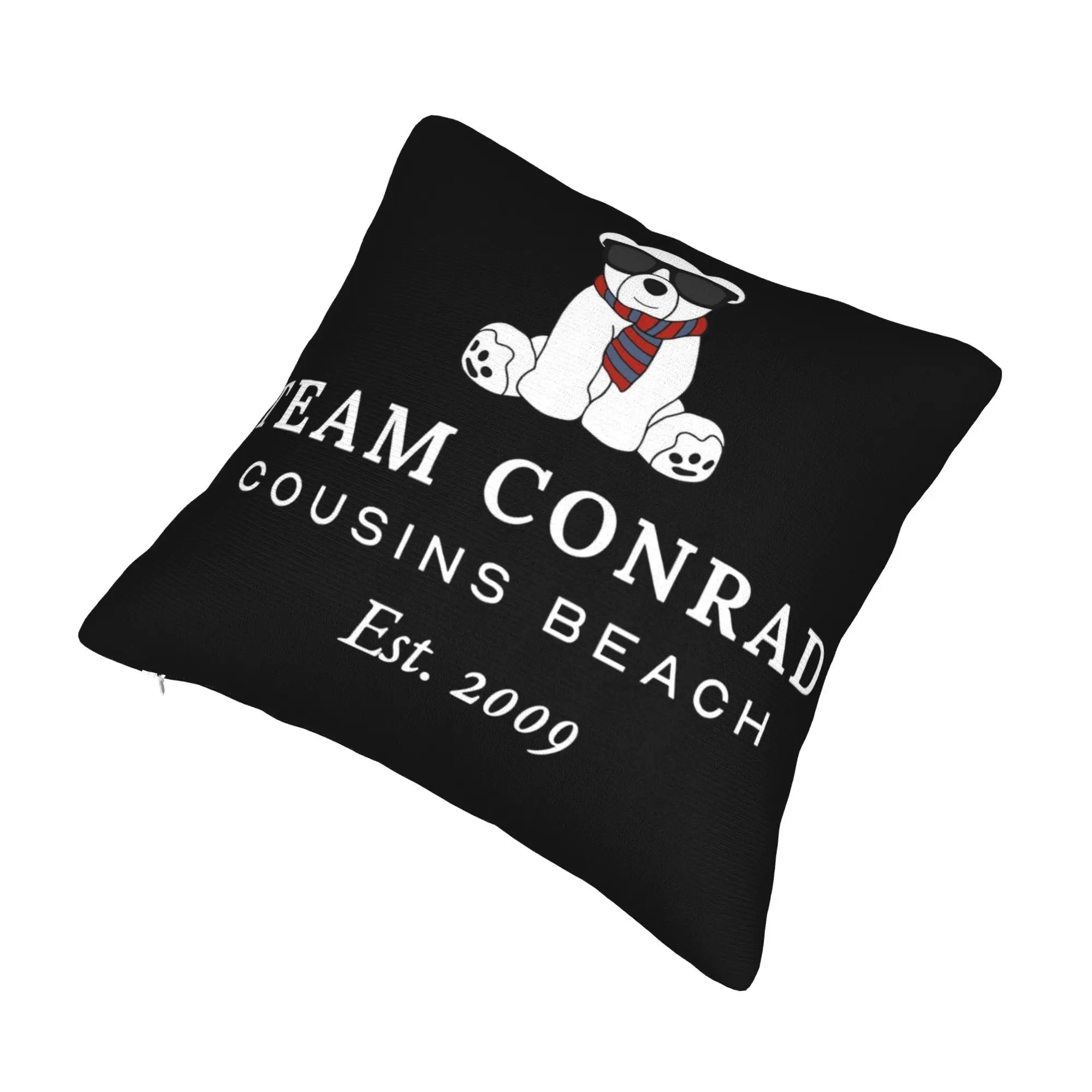 Team Conrad Est. 2009 The Summer I Turned Pretty Pillowcase Soft Cushion Cover Decorative  Throw Pillow Case Cover Car