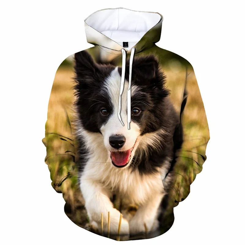 Border Collie Graphics Hoodie Animal Dog 3d Printed Hot Sale Sweatshirt Pullover Spring Autumn Hoodies Children Men Clothing