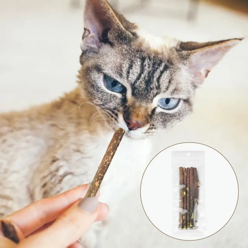 5Pcs Natural Cat Catnip Teeth Molar Stick Pet Cat Snacks Cleaning Teeth Tools Cat Treat Toys Increase Appetite