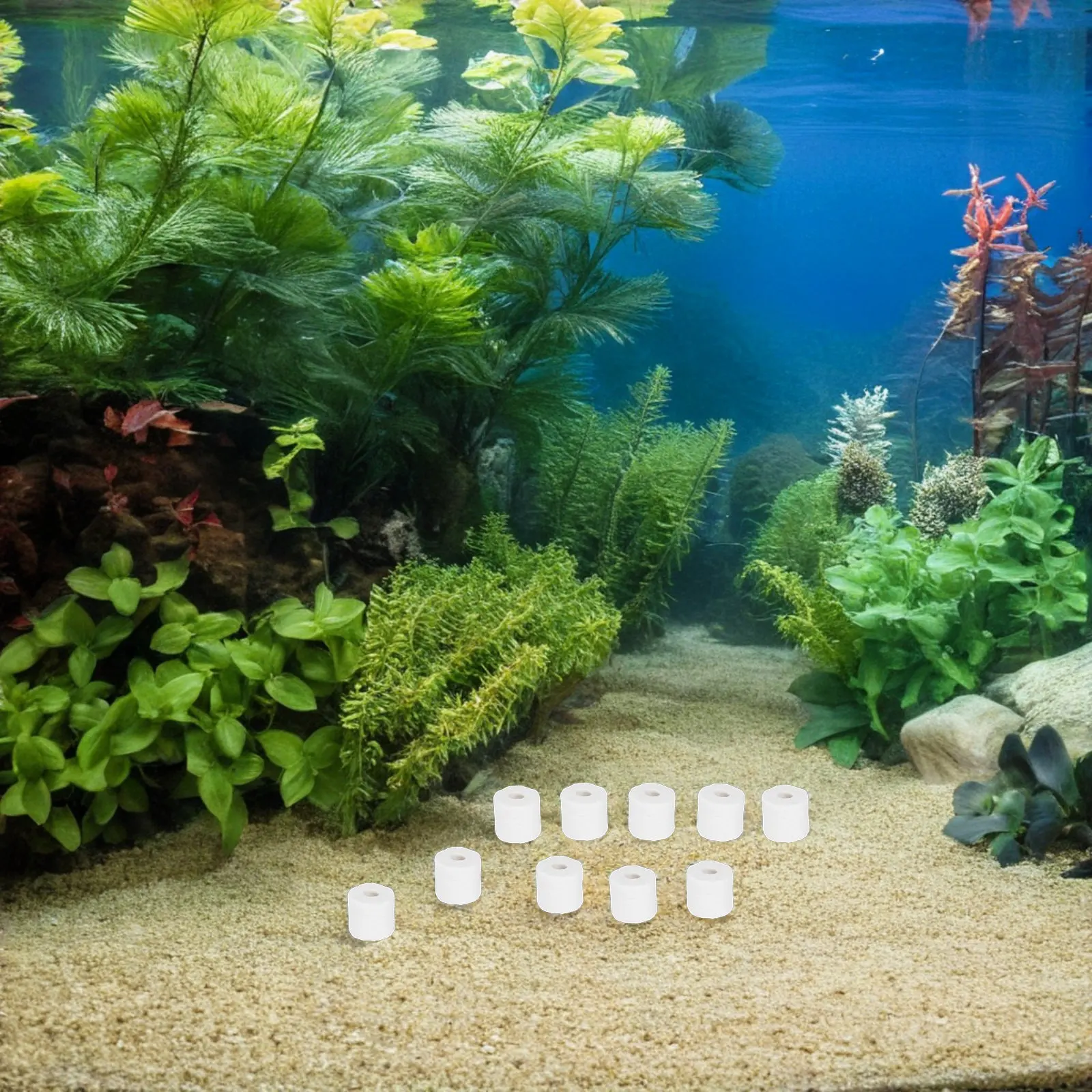 

2 Bags Ceramic Rings Aquarium Bio Filters Media Fish Tank Filters Replacement Freshwater Saltwater Pond Shrimp Canister